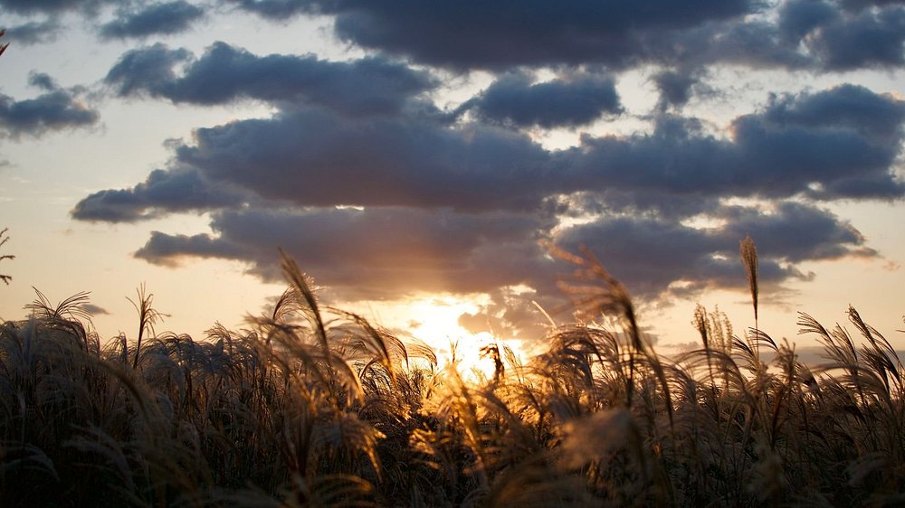 ccd1d648a4a910b13f976388830c3371_1752456007_7784.jpg ccd1d648a4a910b13f976388830c3371_1752456007_7784.jpg