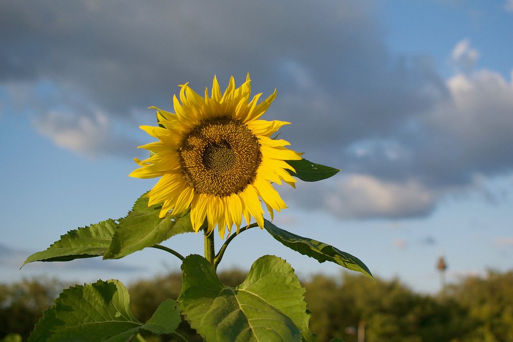 ccd1d648a4a910b13f976388830c3371_1752456009_7996.jpg ccd1d648a4a910b13f976388830c3371_1752456009_7996.jpg